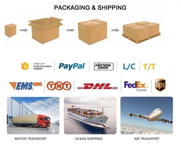 shipping shipping