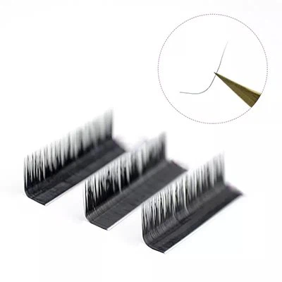 curl M lashes extension