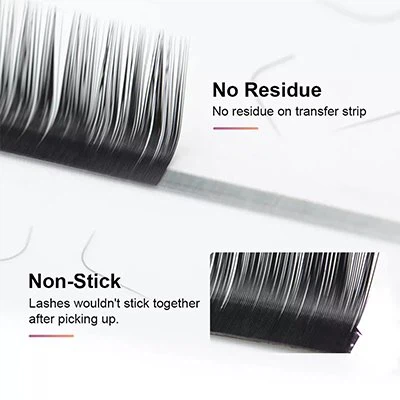 CURL N LASHES EXTENSION